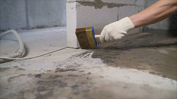 SJ Waterproofing Pros Crawl Space Encapsulation coverage map for Alto, GA and surrounding area
